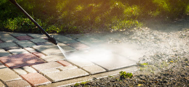 Best Warehouse Cleaning  in Mahtomedi, MN