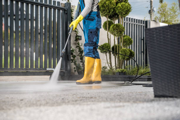 Animal Enclosure Cleaning in Mahtomedi, MN